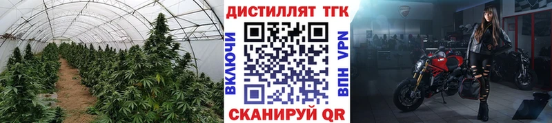 Дистиллят ТГК концентрат  МЕГА ссылка  Котово 