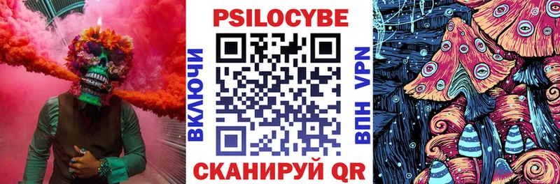 гидра сайт  Котово  Псилоцибиновые грибы мицелий 